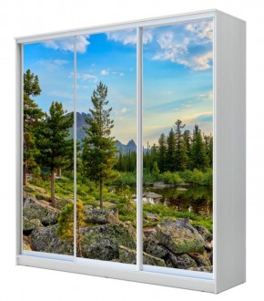 Шкаф-купе ХИТ 22-4-18-777 (420) в Соликамске - solikamsk.mebel24.online | фото 1