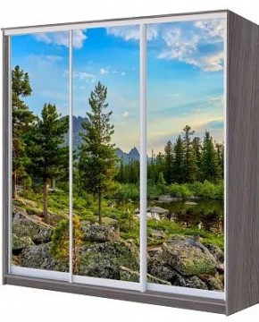 Шкаф-купе ХИТ 22-4-20/2-777 ПРИРОДА в Соликамске - solikamsk.mebel24.online | фото