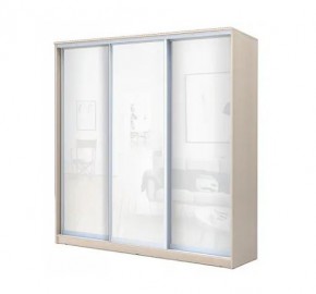 Шкаф-купе ХИТ 22-4-20-888 (420) в Соликамске - solikamsk.mebel24.online | фото 4