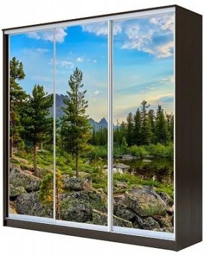 Шкаф-купе ХИТ 23-20/2-777 ПРИРОДА в Соликамске - solikamsk.mebel24.online | фото