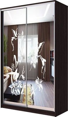 Шкаф-купе ХИТ 23-4-12/2-66 КОЛИБРИ в Соликамске - solikamsk.mebel24.online | фото