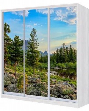 Шкаф-купе ХИТ 23-4-20/2-777 ПРИРОДА в Соликамске - solikamsk.mebel24.online | фото