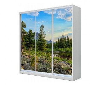 Шкаф-купе ХИТ 23-4-20-777 (420) в Соликамске - solikamsk.mebel24.online | фото