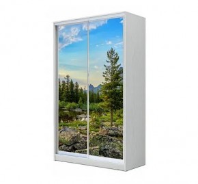 Шкаф-купе ХИТ 24-12/2-77 (620) в Соликамске - solikamsk.mebel24.online | фото