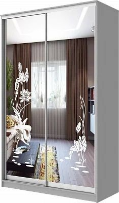 Шкаф-купе ХИТ 24-12-66 ЦАПЛИ в Соликамске - solikamsk.mebel24.online | фото