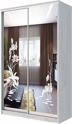 Шкаф-купе ХИТ 24-14-66 ЦАПЛИ в Соликамске - solikamsk.mebel24.online | фото