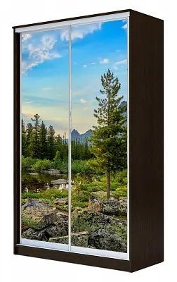 Шкаф-купе ХИТ 24-17-77 ПРИРОДА в Соликамске - solikamsk.mebel24.online | фото