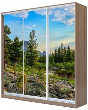 Шкаф-купе ХИТ 24-20/2-777 ПРИРОДА в Соликамске - solikamsk.mebel24.online | фото