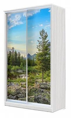 Шкаф-купе ХИТ 24-4-15-77 ПРИРОДА в Соликамске - solikamsk.mebel24.online | фото