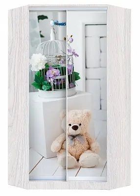 Шкаф-купе ХИТ-У-24-4-77 МИШКА В ИНТЕРЬЕРЕ в Соликамске - solikamsk.mebel24.online | фото