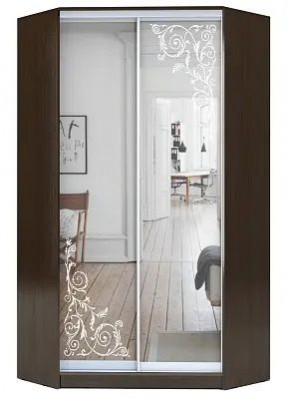 Шкаф-купе ХИТ-У-L-23-64-66 ОРНАМЕНТ в Соликамске - solikamsk.mebel24.online | фото