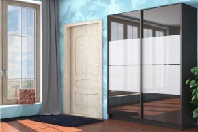 Шкаф-купе Марвин-3 СТЛ.299.05 в Соликамске - solikamsk.mebel24.online | фото 3