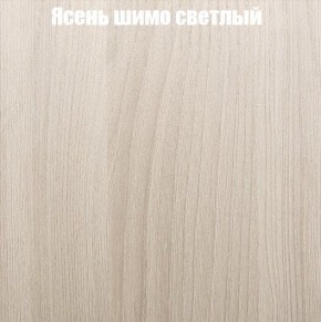 Шкаф-купе «ТАНДЕМ» 3-х дверный в алюминиевом профиле (Дверь К+К+К) 2100/h2200 в Соликамске - solikamsk.mebel24.online | фото 6