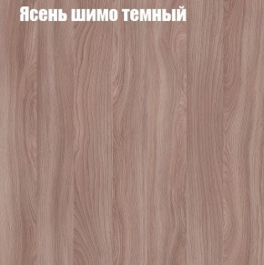Шкаф-купе «ТАНДЕМ» 3-х дверный в алюминиевом профиле (Дверь К+К+К) 2100/h2200 в Соликамске - solikamsk.mebel24.online | фото 7