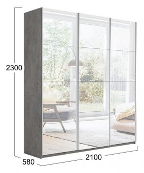 Шкаф-купе Траст СШК 2.210.70-13.13.13 в Соликамске - solikamsk.mebel24.online | фото 3