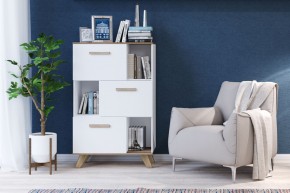 Шкаф низкий с нишами Вега Скандинавия в Соликамске - solikamsk.mebel24.online | фото 4