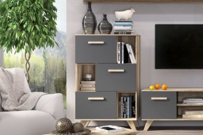 Шкаф низкий с нишами Вега Скандинавия в Соликамске - solikamsk.mebel24.online | фото 6