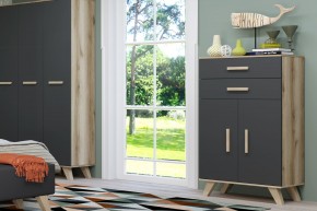 Шкаф низкий Вега Скандинавия в Соликамске - solikamsk.mebel24.online | фото 8