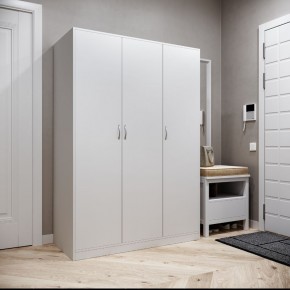 Шкаф ОРИОН трехдверный, цвет белый в Соликамске - solikamsk.mebel24.online | фото 2