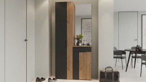 Шкаф платяной Асти в Соликамске - solikamsk.mebel24.online | фото 5