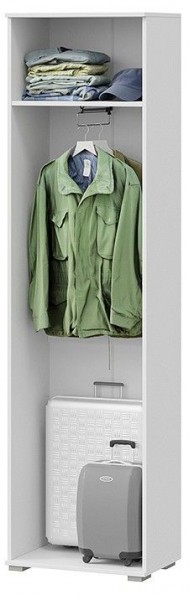 Шкаф платяной Эрика в Соликамске - solikamsk.mebel24.online | фото 2