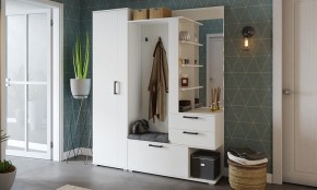 Шкаф платяной Эрика в Соликамске - solikamsk.mebel24.online | фото 3