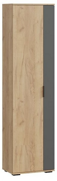 Шкаф платяной Эвита в Соликамске - solikamsk.mebel24.online | фото