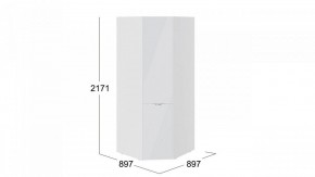 Шкаф платяной Глосс СМ-319.07.311 в Соликамске - solikamsk.mebel24.online | фото 3