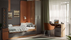 Шкаф платяной Хилтон Исп. 2 в Соликамске - solikamsk.mebel24.online | фото 5