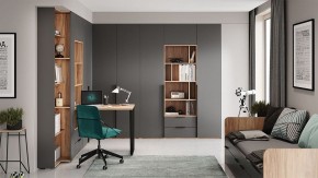 Шкаф платяной Порто СМ-393.07.223 в Соликамске - solikamsk.mebel24.online | фото 9