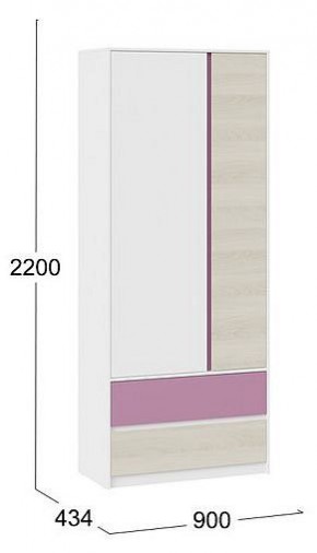 Шкаф платяной Сканди в Соликамске - solikamsk.mebel24.online | фото 5