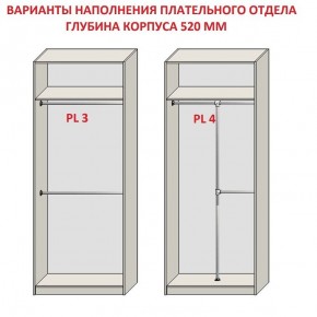 Шкаф распашной серия «ЗЕВС» (PL3/С1/PL2) в Соликамске - solikamsk.mebel24.online | фото 10