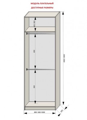 Шкаф распашной серия «ЗЕВС» (PL3/С1/PL2) в Соликамске - solikamsk.mebel24.online | фото 12