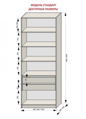 Шкаф распашной серия «ЗЕВС» (PL3/С1/PL2) в Соликамске - solikamsk.mebel24.online | фото 13