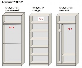 Шкаф распашной серия «ЗЕВС» (PL3/С1/PL2) в Соликамске - solikamsk.mebel24.online | фото 2