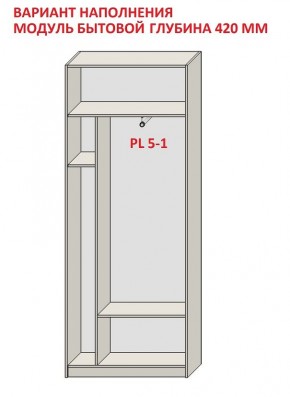 Шкаф распашной серия «ЗЕВС» (PL3/С1/PL2) в Соликамске - solikamsk.mebel24.online | фото 4