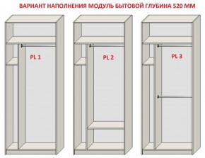 Шкаф распашной серия «ЗЕВС» (PL3/С1/PL2) в Соликамске - solikamsk.mebel24.online | фото 5