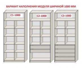 Шкаф распашной серия «ЗЕВС» (PL3/С1/PL2) в Соликамске - solikamsk.mebel24.online | фото 7