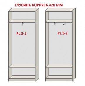 Шкаф распашной серия «ЗЕВС» (PL3/С1/PL2) в Соликамске - solikamsk.mebel24.online | фото 8