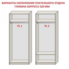 Шкаф распашной серия «ЗЕВС» (PL3/С1/PL2) в Соликамске - solikamsk.mebel24.online | фото 9