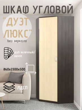 Шкаф угловой Дуэт Люкс без зеркала в Соликамске - solikamsk.mebel24.online | фото 3