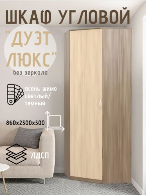 Шкаф угловой Дуэт Люкс без зеркала в Соликамске - solikamsk.mebel24.online | фото 7