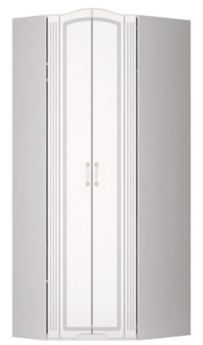 Шкаф угловой Виктория 26 в Соликамске - solikamsk.mebel24.online | фото 1
