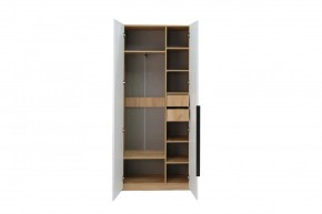 СТЕФАНИ-2 Шкаф в Соликамске - solikamsk.mebel24.online | фото 3
