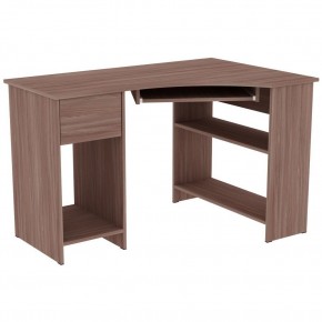 Стол компьютерный "Алиса (Т1)" в Соликамске - solikamsk.mebel24.online | фото 11