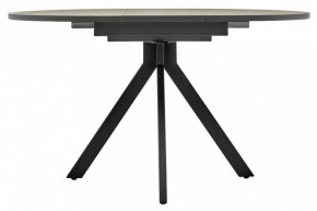 Стол обеденный Rudolf в Соликамске - solikamsk.mebel24.online | фото 7