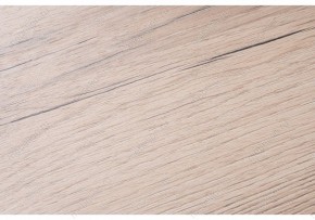 Стол письменный Битти Лофт 116 в Соликамске - solikamsk.mebel24.online | фото 6