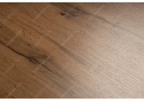 Стол письменный Битти Лофт в Соликамске - solikamsk.mebel24.online | фото 5
