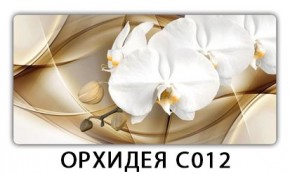 Стол раздвижной Трилогия с фотопечатью Доска D111 в Соликамске - solikamsk.mebel24.online | фото 13