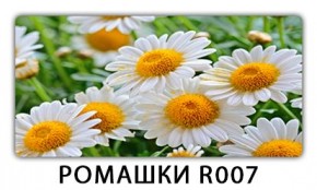 Стол раздвижной Трилогия с фотопечатью Доска D111 в Соликамске - solikamsk.mebel24.online | фото 15
